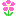 ピンク色の花